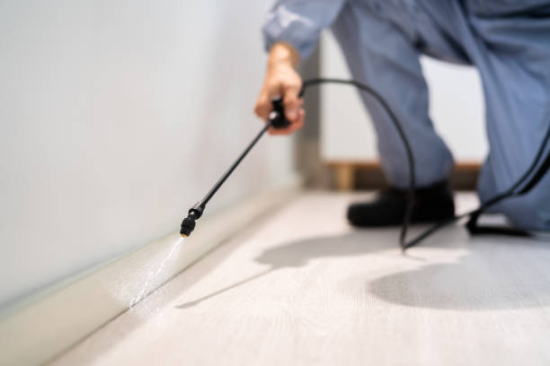 Rodent Entry Point Assessment in South Riding