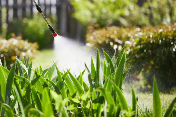 Tamper-Resistant Bait Stations for Rodents in South Riding