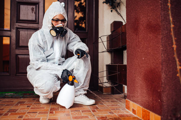 Attic and Crawl Space Rodent Treatment in South Riding